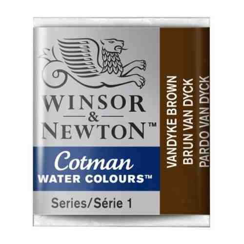 Акварель Winsor&Newton Акварель Winsor&Newton COTMAN в кюветах, кость жженая арт. 101717292762