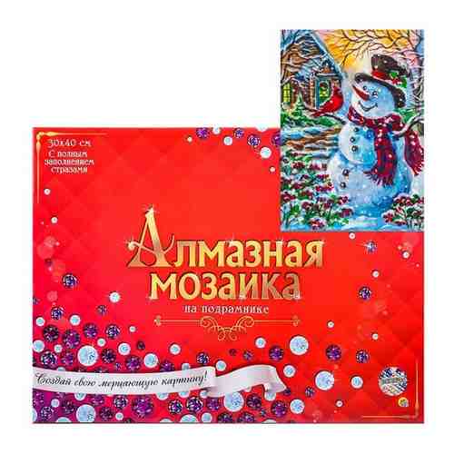 Алмазная мозаика 30x40 см, с подрамником, с полным заполнением, 34 цв. 