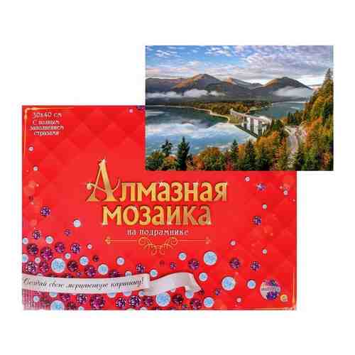 Алмазная мозаика Рыжий кот 30*40 см, 