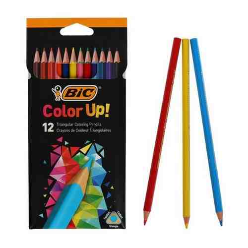 BIC Карандаши 12 цветов BIC Color Up, для подростков и взрослых, трёхгранные, микс арт. 101408637261