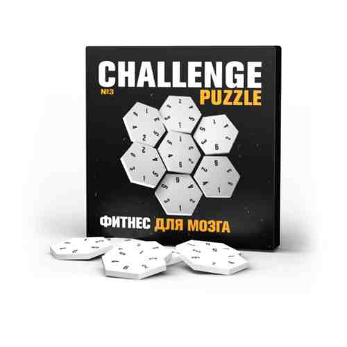 Challenging Puzzle №3 IQ Puzzle арт. 100915327081