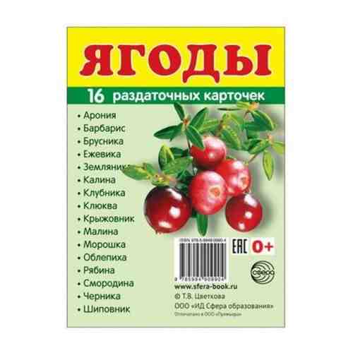 Демонстрационные картинки Супер. Ягоды. 16 раздаточных карточек с текстом. Сфера картинок арт. 608400569