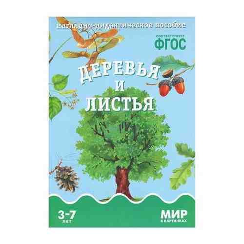 ФГОС Мир в картинках. Деревья и листья. арт. 82979137