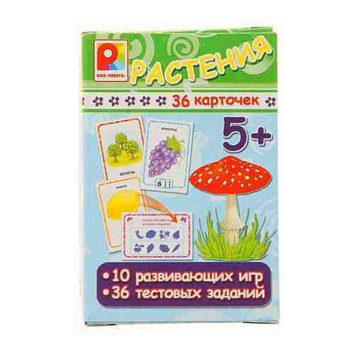 Игра с карточками Растения арт. 663966560