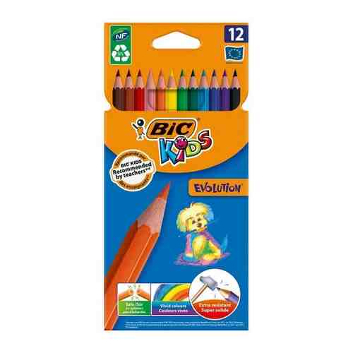 Карандаши цветные 12цв 6-гран BIC Evolution 829029 арт. 101498665711