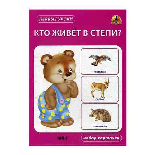 Кто живет в степи? Набор карточек арт. 855296067