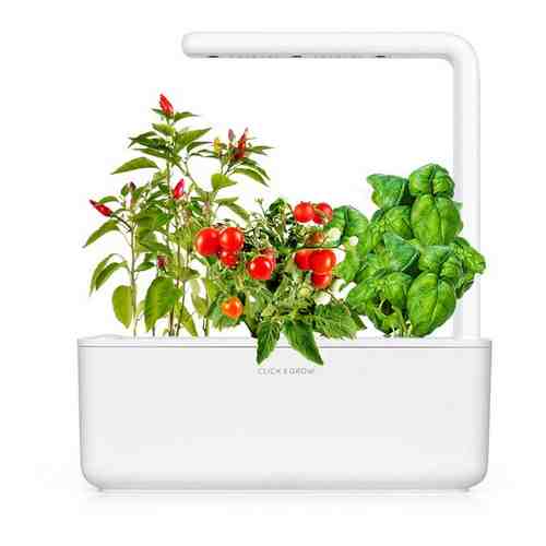 Набор для выращивания Click & Grow Smart Garden 3 томат перец базилик арт. 101641292122