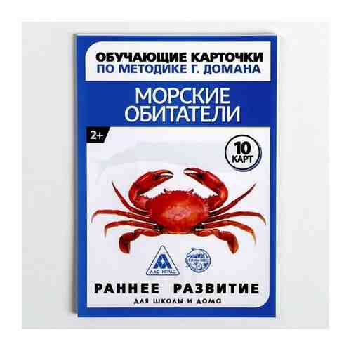 Обучающие карточки по методике Г. Домана «Морские обитатели», 10 карт, А6 арт. 101453030307