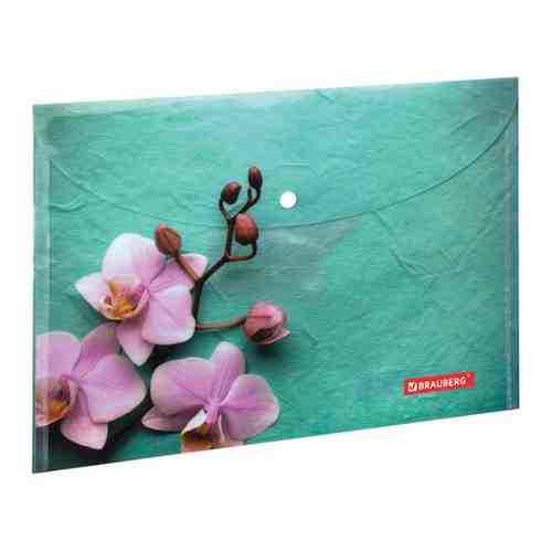 Папка-конверт с кнопкой BRAUBERG 