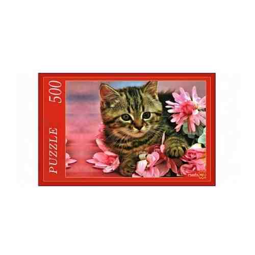 Пазлы 500 эл. 