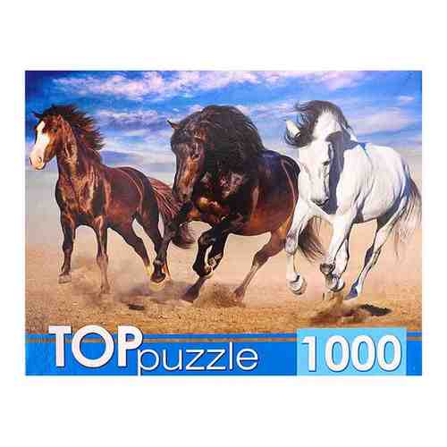 ПазлыTOPpuzzle 1000 дет. Тройка диких лошадей ГИТП1000-4141, (Рыжий кот) арт. 980866929