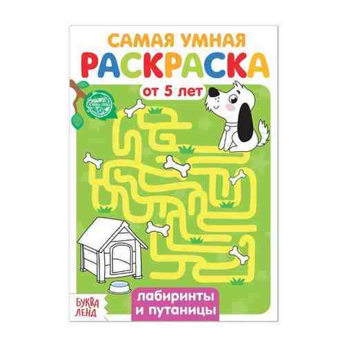 Раскраска «Лабиринты и путаницы», 12 стр../ В упаковке: 1 арт. 1736680670