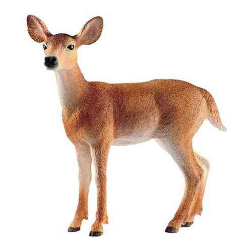 Schleich Schleich Wild Life Белохвостая олениха, 8.6 см 14819 арт. 375930638