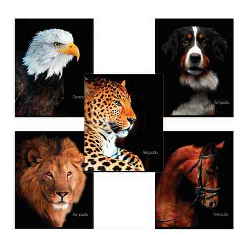 Тетрадь А5, 48 л., BRAUBERG, клетка, обложка картон, животные, 403034 арт. 677085566