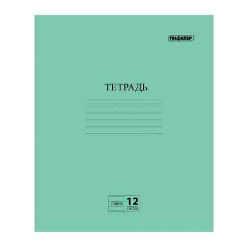 Тетрадь зелёная обложка 12 л., линия с полями, офсет №2 эконом, 