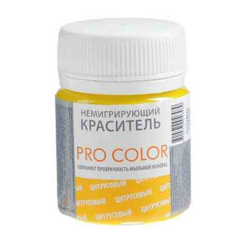 Выдумщики Краситель немигрирующий PRO Color, цитрусовый, 40 г арт. 101450281943