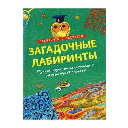 Загадочные лабиринты арт. 101521925152